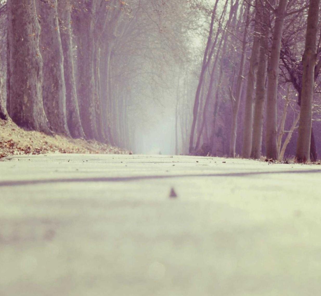 华信深圳雨伞购买平台