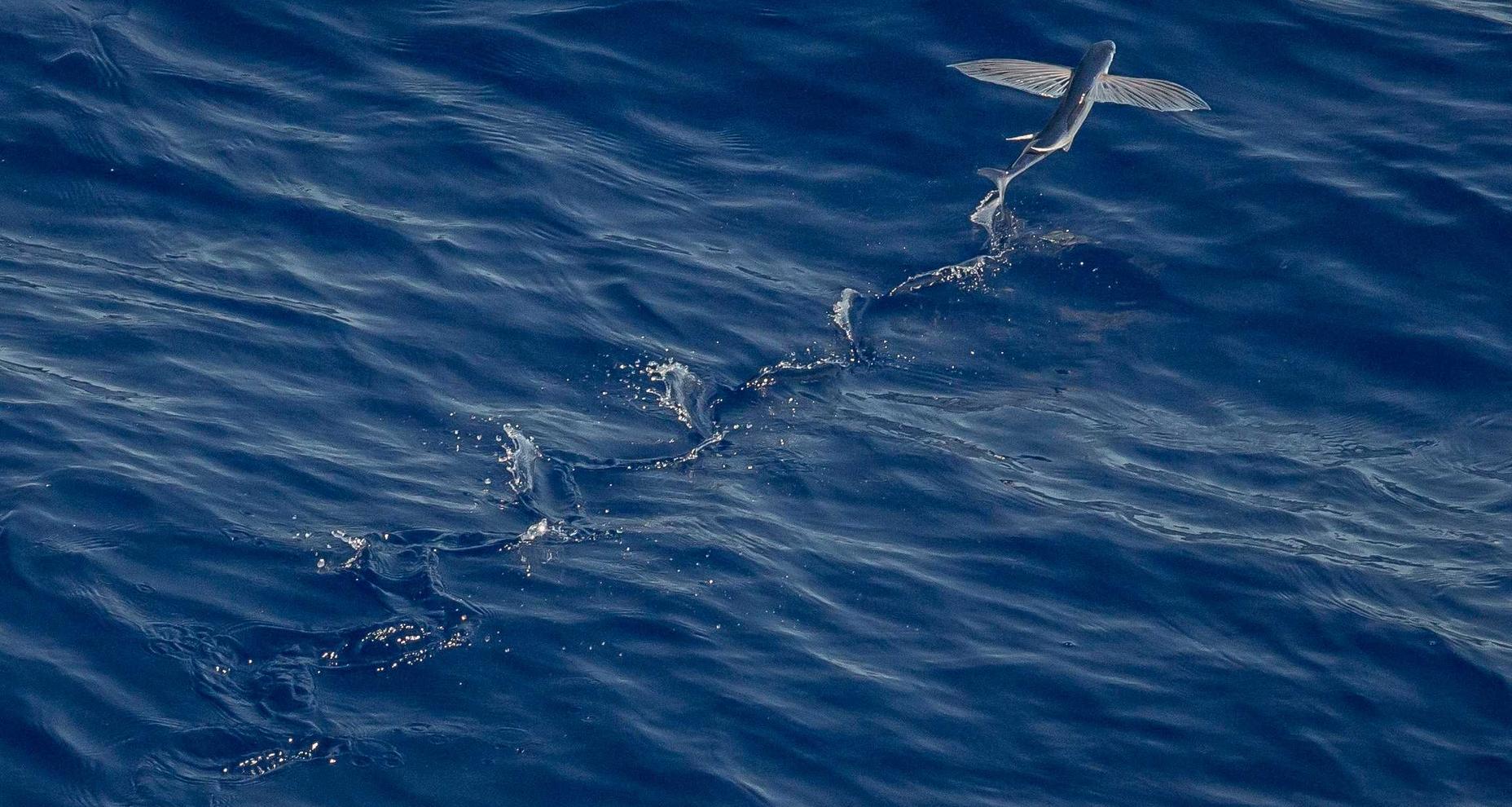 如何在虚拟现实设备上进行SEO优化