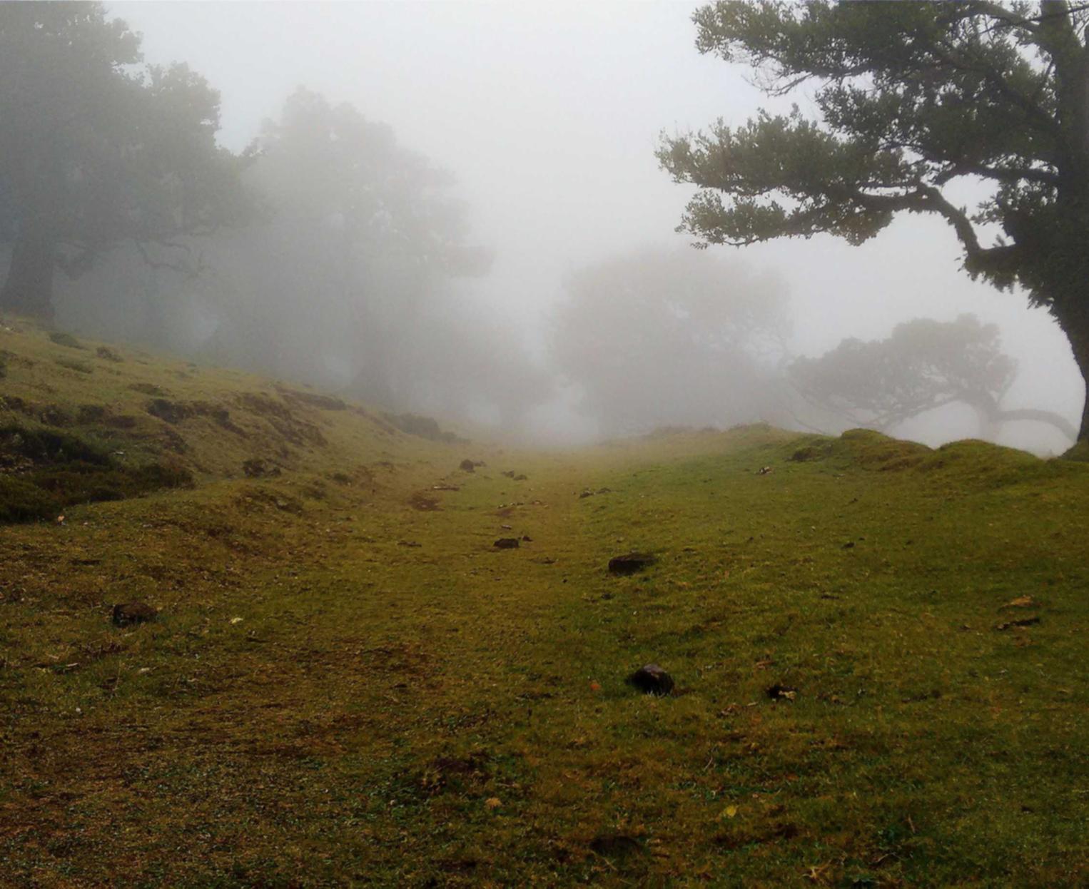 经开区代理注册工商