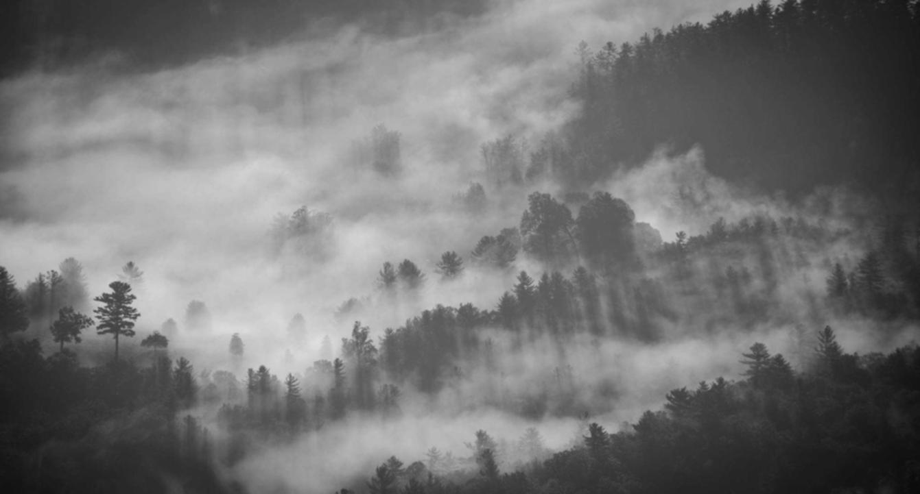 DogYun实名账号：福州代理注册日本公司费用