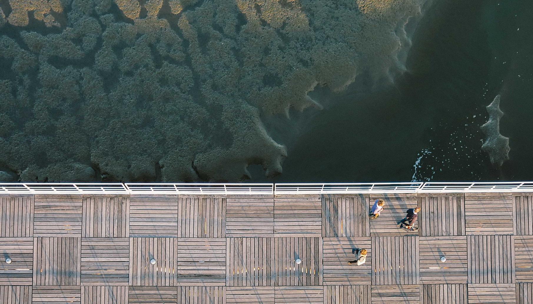 DDoS攻击与数据泄露:如何保障用户数据的安全?